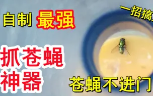 Tải video: 生活小窍门, 只需要一个材料, 自制抓苍蝇神器