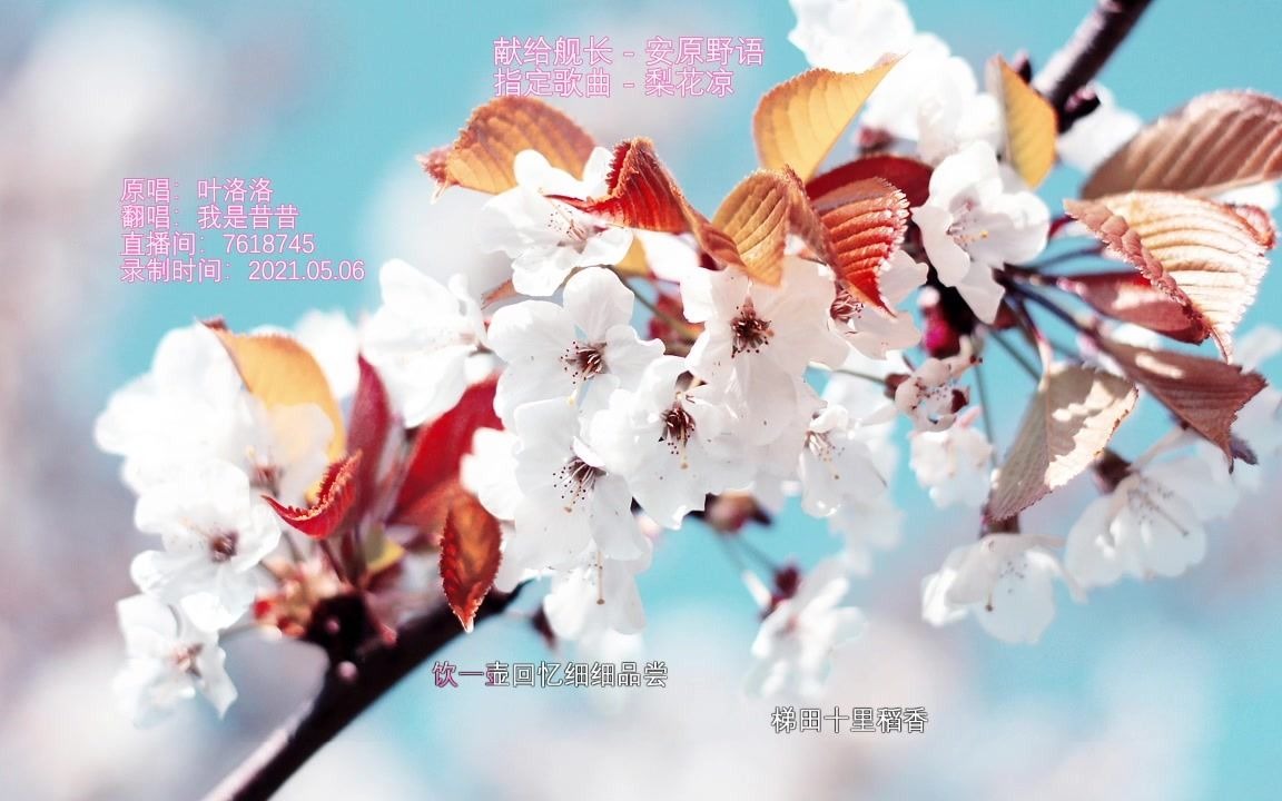 [图]🎵【古风翻唱】【我是昔昔】梨花凉（Cover：叶洛洛）