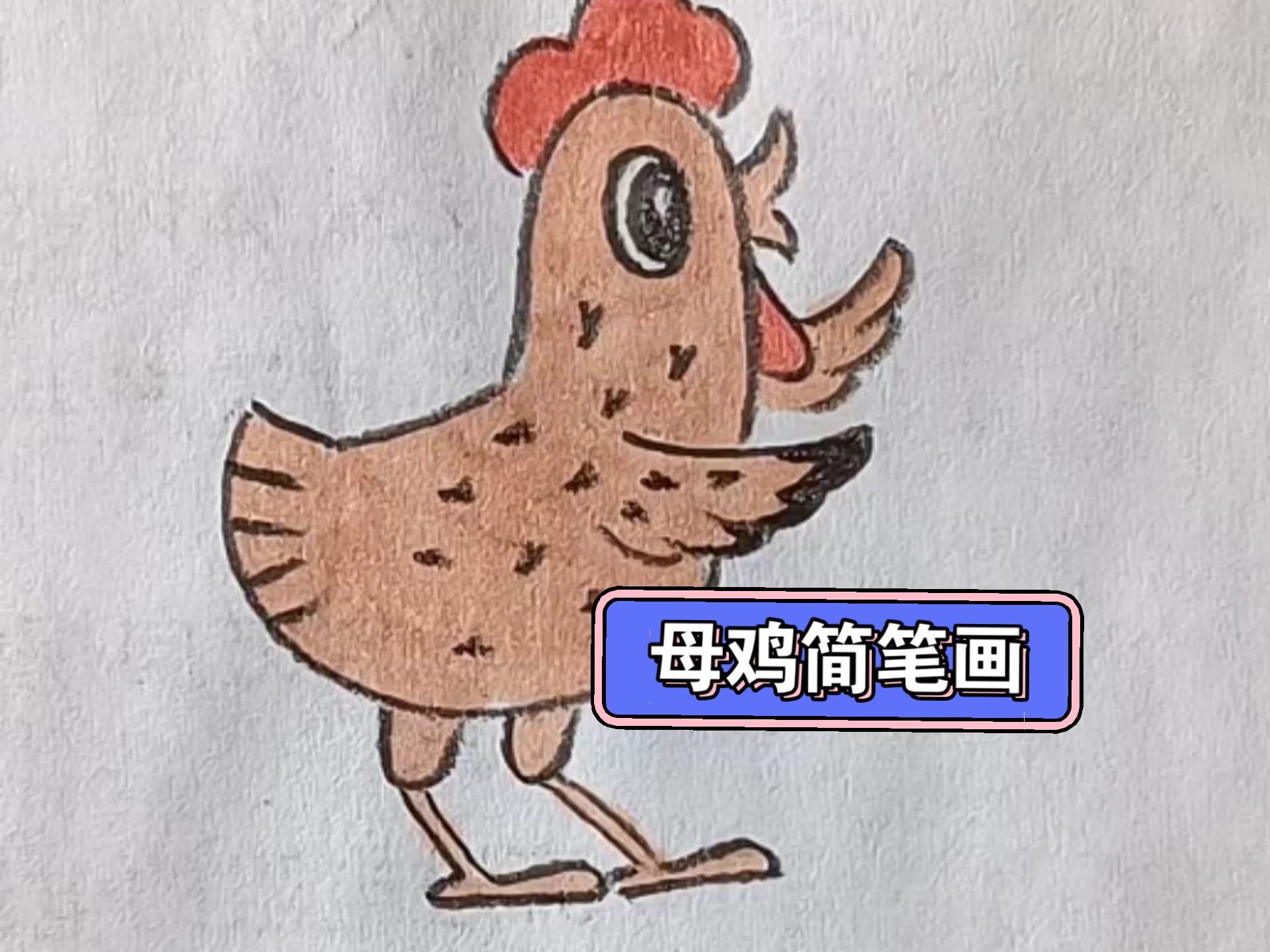 动物简笔画