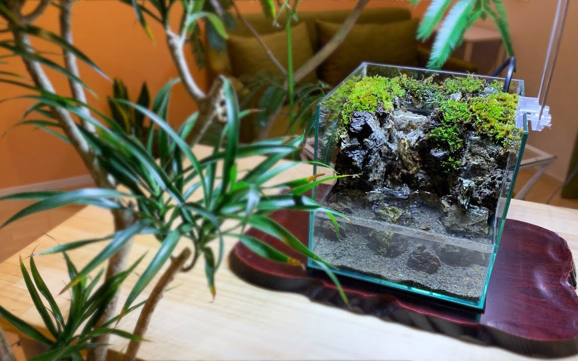 20cm 瀑布流 水陆缸