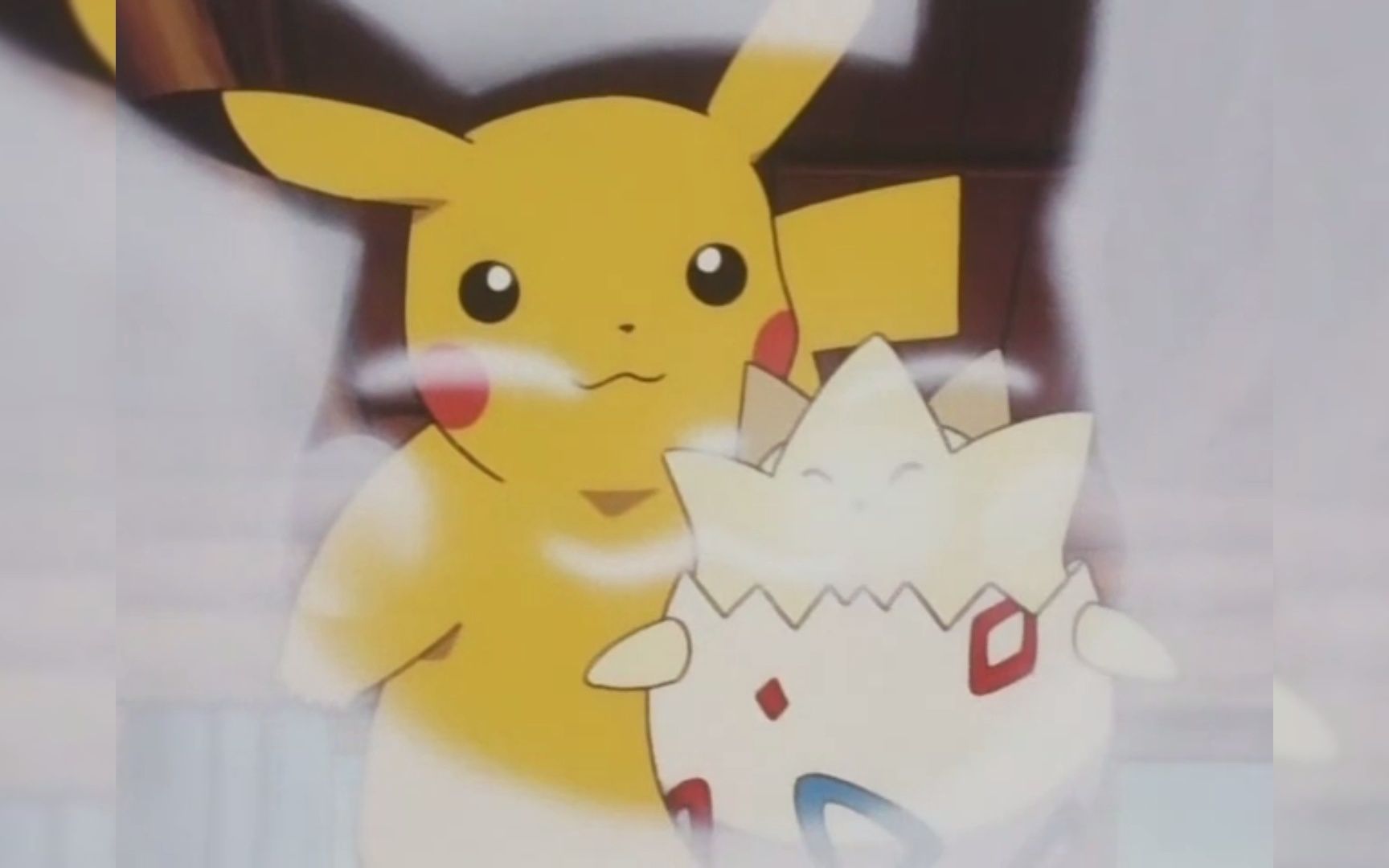 宝可梦丨是团宠波克比呀