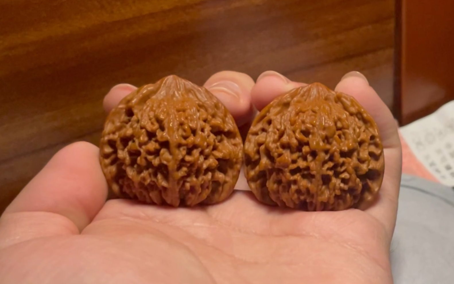 【kuma的核桃】百花山官帽 仙灯!是仙灯!