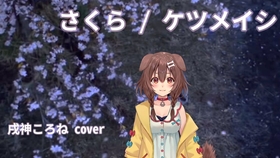 花鸟风月 哔哩哔哩 つロ干杯 Bilibili