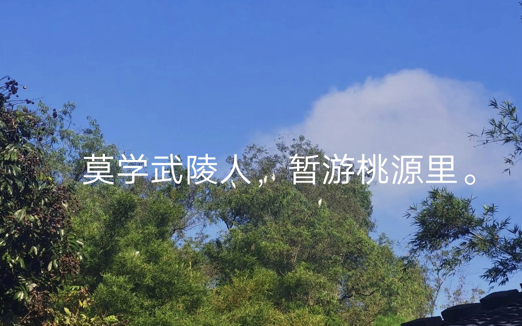 [图]唐诗三百首(崔九欲往南山马上口号与别/留别王维/送崔九[唐代]裴迪)