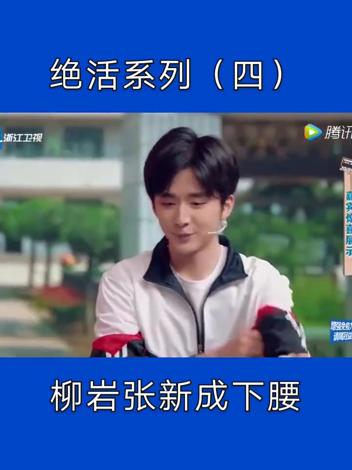 快影柳岩张新成