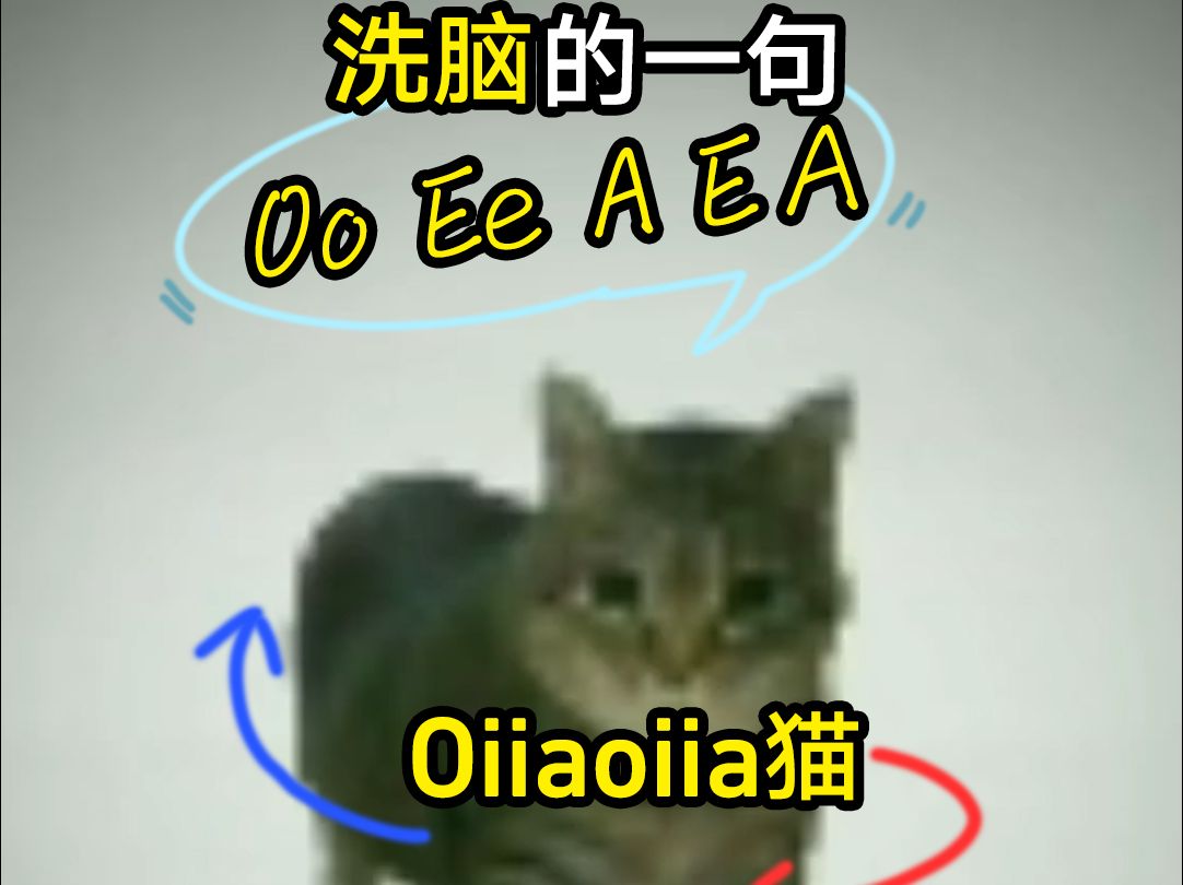 洗脑的一句“Oo Ee A EA”另外一只旋转猫! #oiiaoiia猫 #OiiaoiiaCat #OoEeAaEACat #旋转猫 #p87gaming哔哩哔哩bilibili