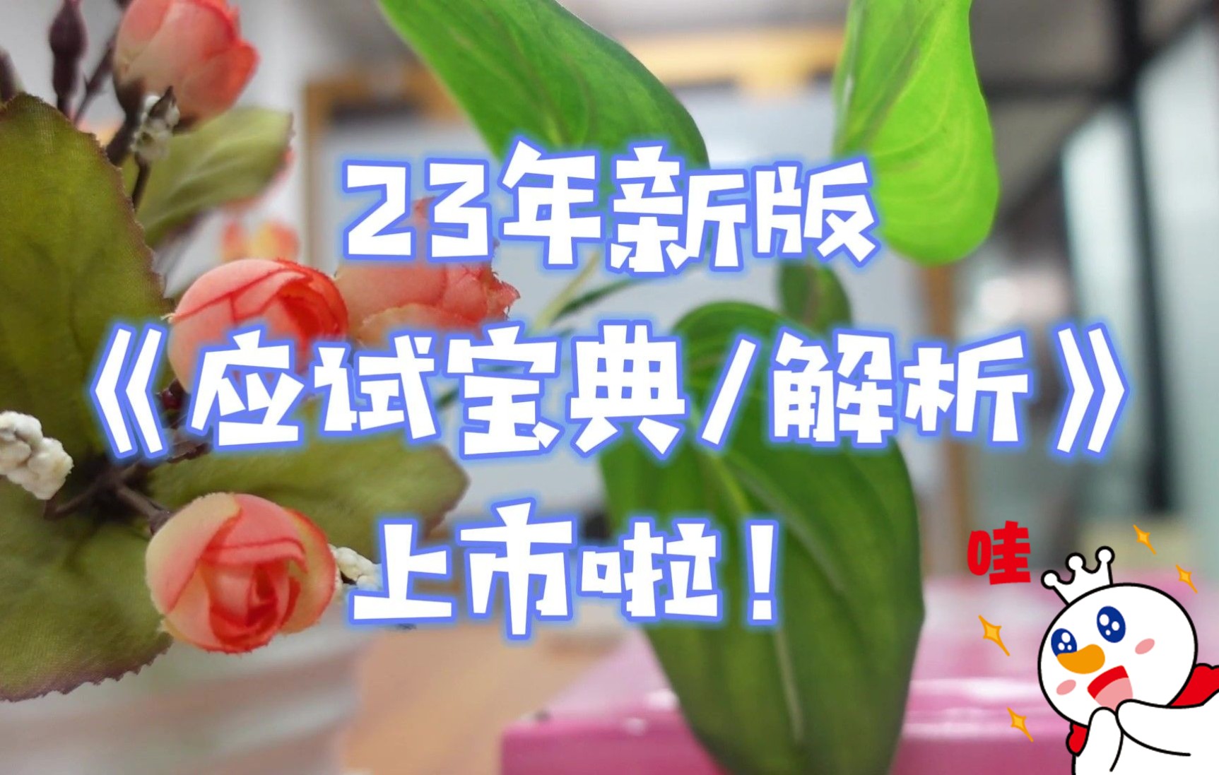 [图]【教育学考研】凯程23年新版《应试宝典/解析》上市啦！新版更好背！311教育学/333教育综合