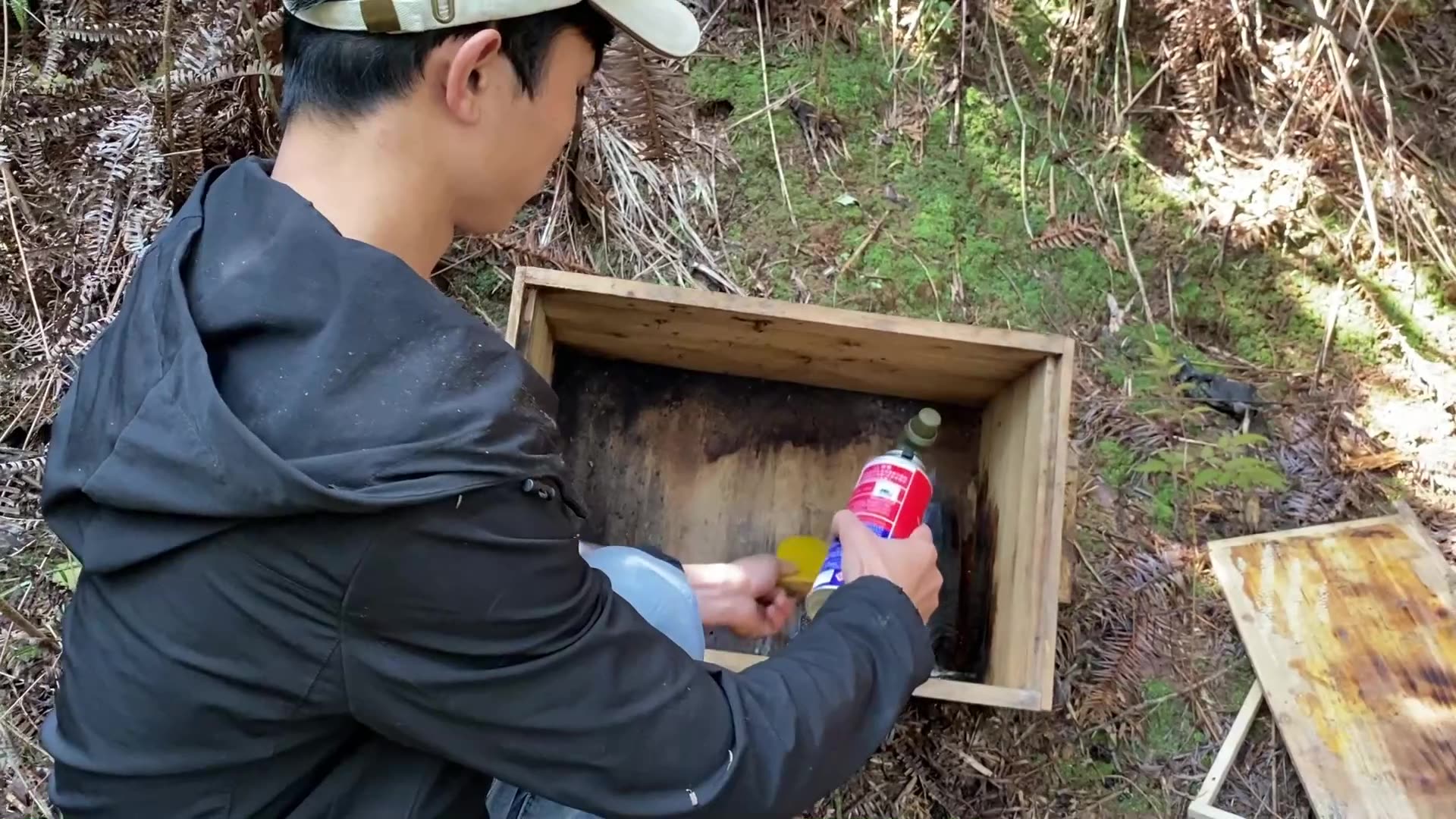 农村小伙教你来过蜂的诱蜂箱这样操作翻新一下,就可以轻松迎接下一群