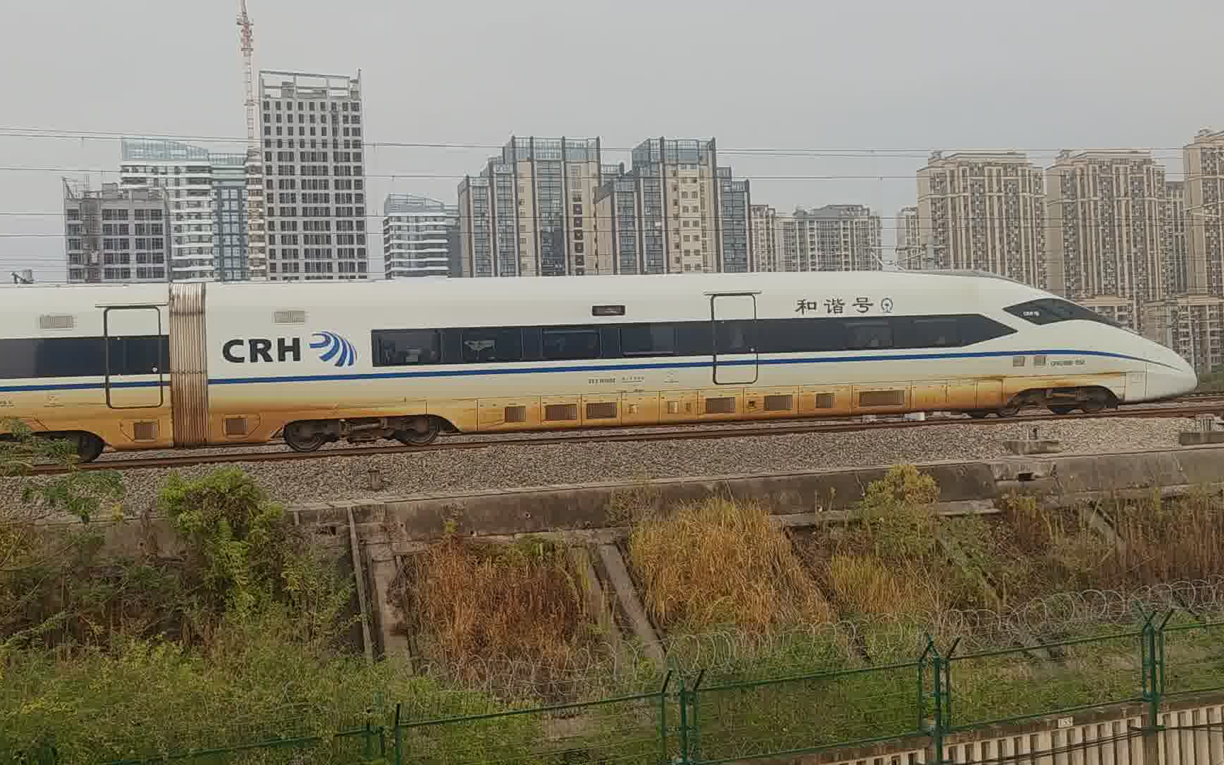 crh380d为什么不受欢迎图片