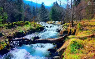 下载视频: 秋天风景的绿松石山河。 山间河流穿林而过。 冥想的白噪声，水的杂音。