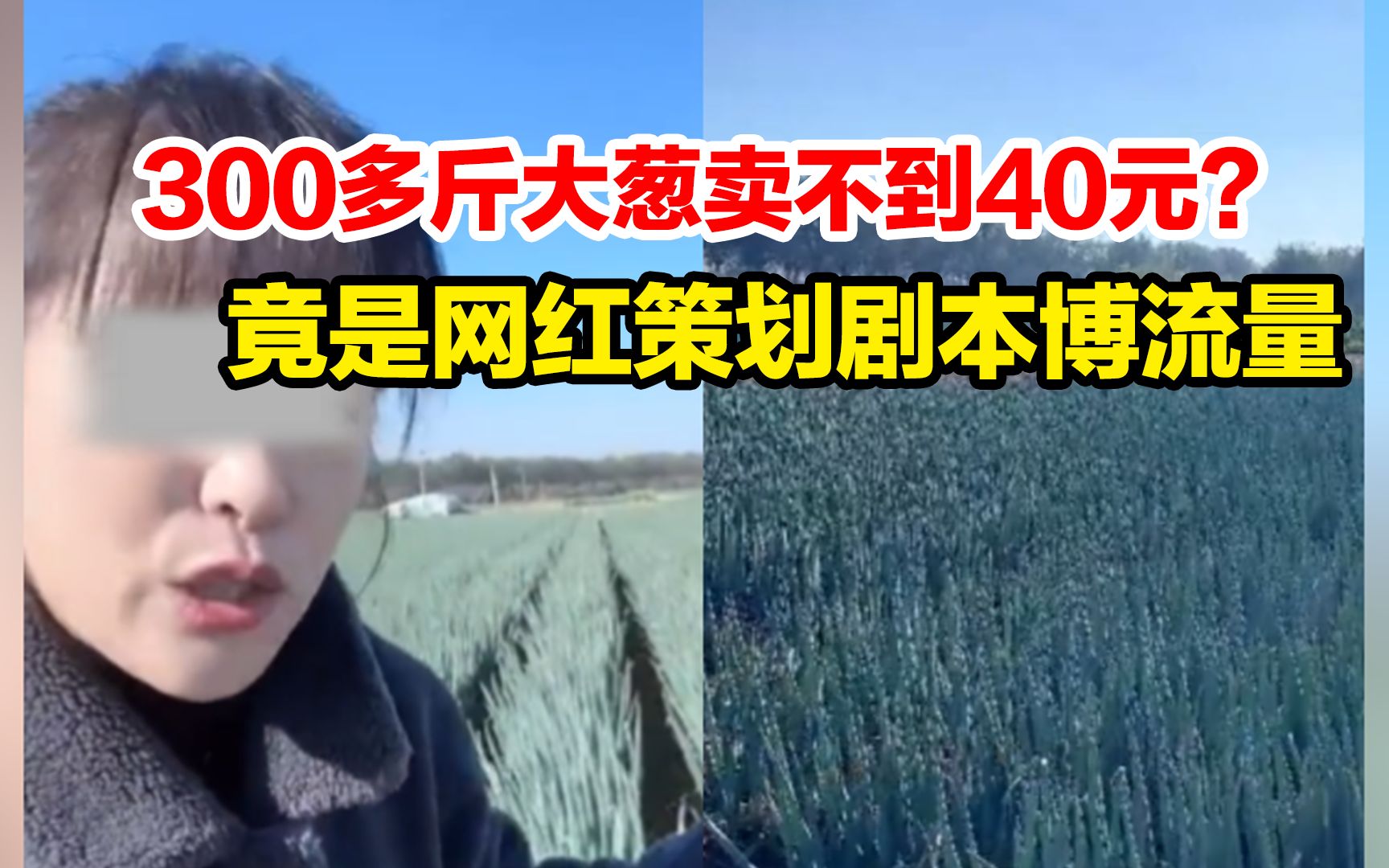 300多斤大葱只卖了不到40元?山东一网红策划剧本博取流量被网信办约谈哔哩哔哩bilibili