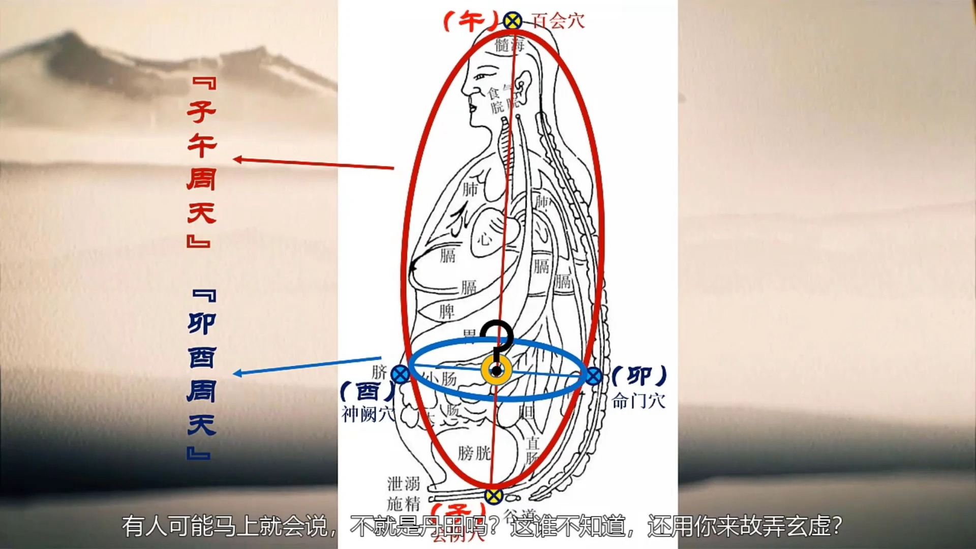 看完您就明白了!人体经络生成及运转原理哔哩哔哩bilibili