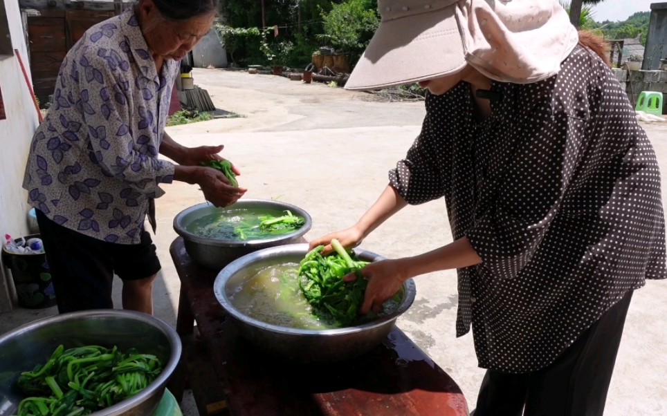 [图]宁愿不吃肉也不能少了它，我们这家家户户一年四季都有的一个菜