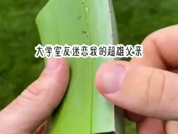 Tải video: 小说推荐【极致迷恋】