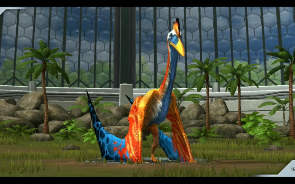 凤凰翼龙由于打不过叫来的大哥.