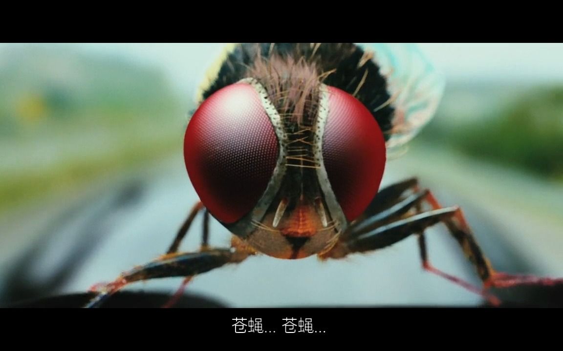 【玖叔电影分享】功夫小蝇之被苍蝇盯上的下场
