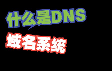 什么是DNS域名系统哔哩哔哩bilibili