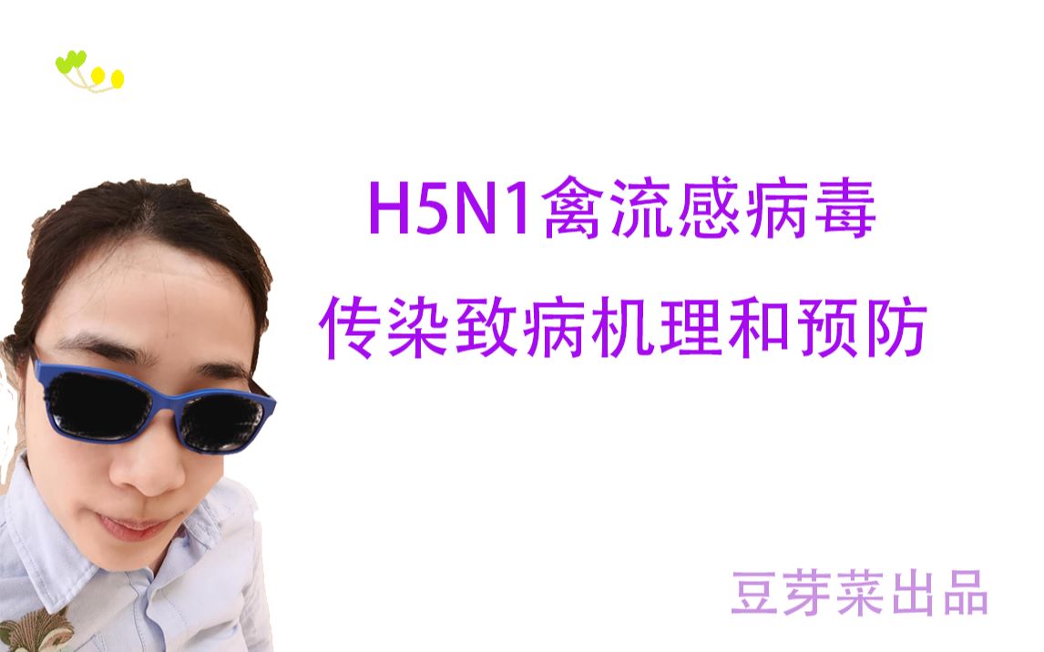 h5n1禽流感病毒传染致病机理和预防influenzavirus