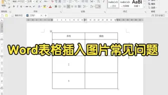 Word表格插入图片常见问题