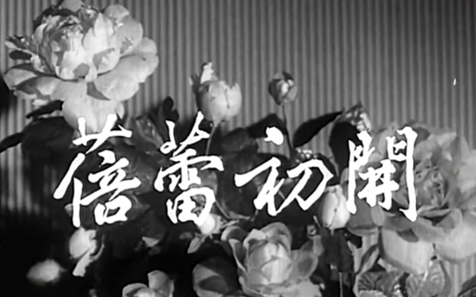 【国产电影】蓓蕾初开1960哔哩哔哩bilibili