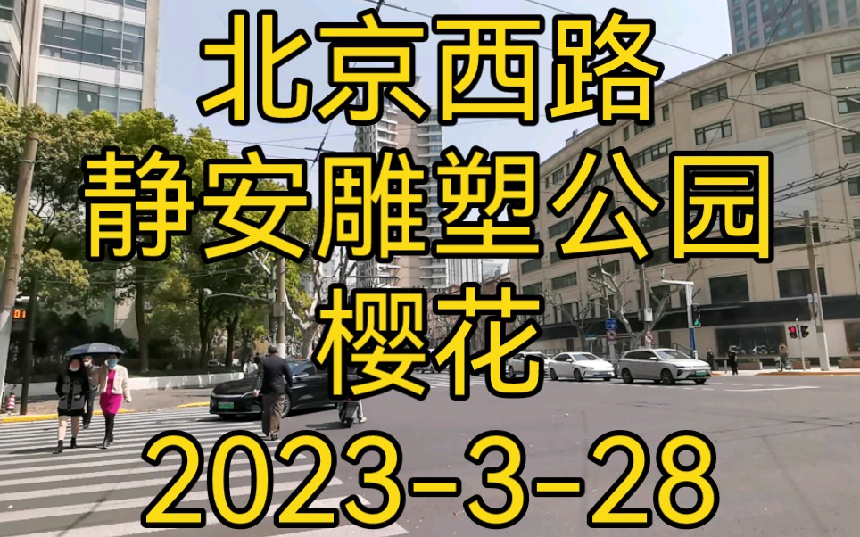 静安区 石门二路街道 北京西路 静安雕塑公园 樱花哔哩哔哩bilibili