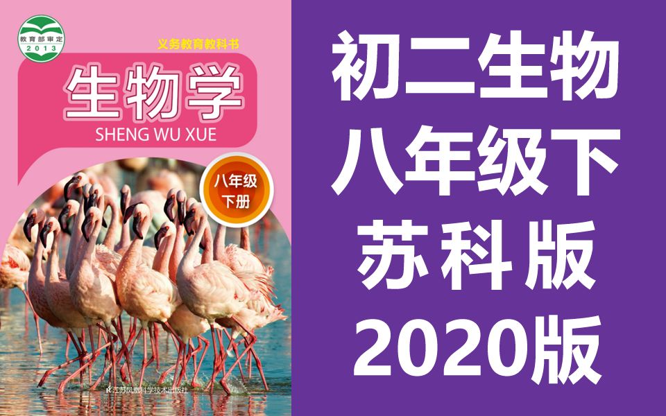 初二生物八年级生物下册 苏科版 苏教版 初中八年级生物8年级下册生物 江苏省生物下册八年级宁夏生物学哔哩哔哩bilibili