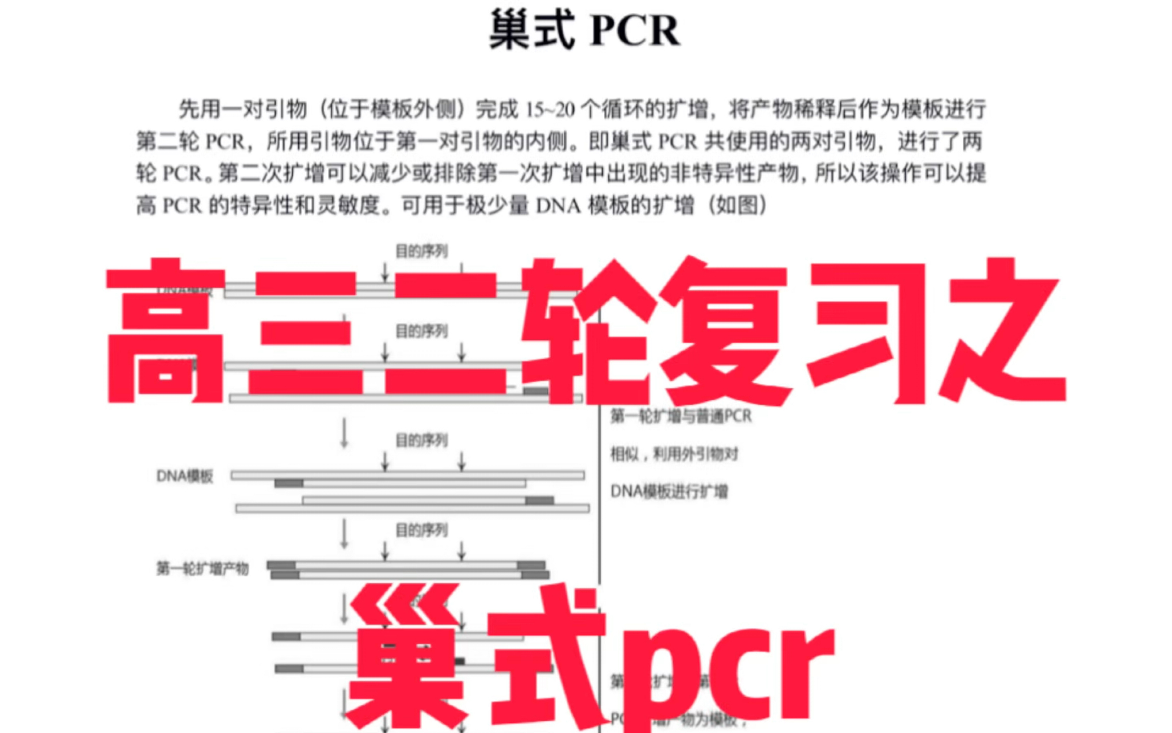 [图]高三二轮复习之选修三生物技术与工程之—基因工程的延伸应用巢式pcr.，为什么设计两对引物，引物的设计原则是什么