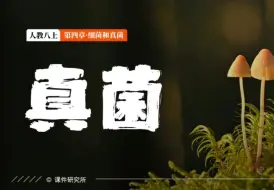 Download Video: 人教版初中生物八年级上册第四章第三节真菌