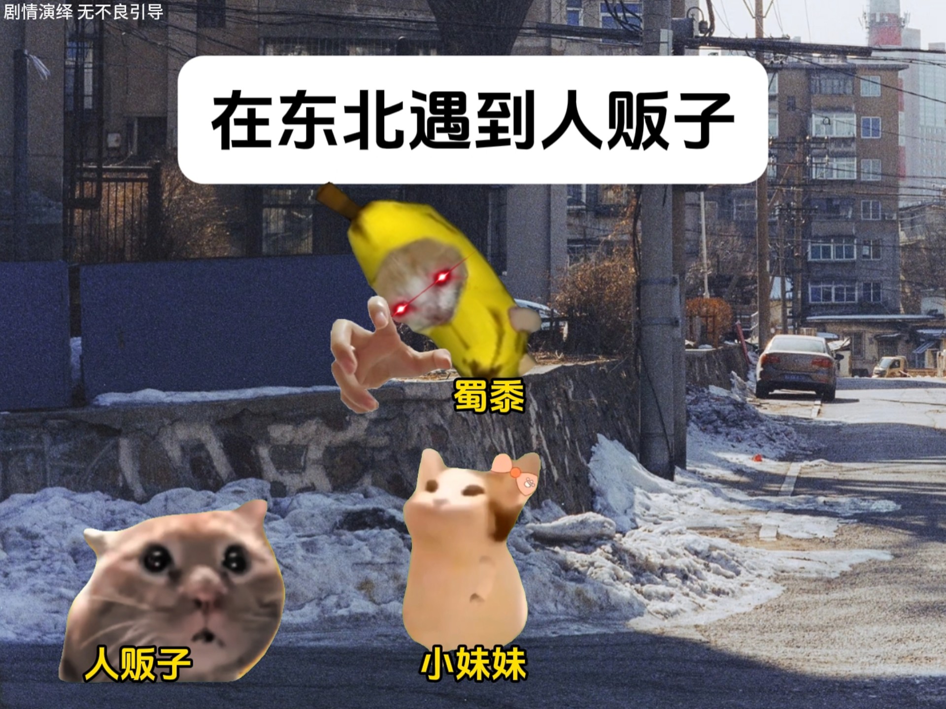 “当你在东北遇到人贩子”