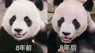 下载视频: 过得不好不可悲，可悲的是明明过得不好，还不能说不让说，国内不好的大家可以死命骂，但是园欣和华妮一家明明。。。还一边倒的叫好，我确实忍不了，也无法做到沉默！