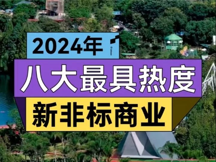 2024最具人气的非标商业大盘点哔哩哔哩bilibili