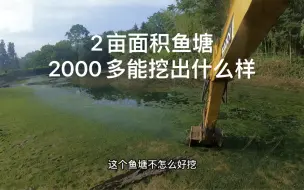 Télécharger la video: 2亩面积鱼塘，泥巴没地方去。预算只有3000。最后挖出个什么名堂