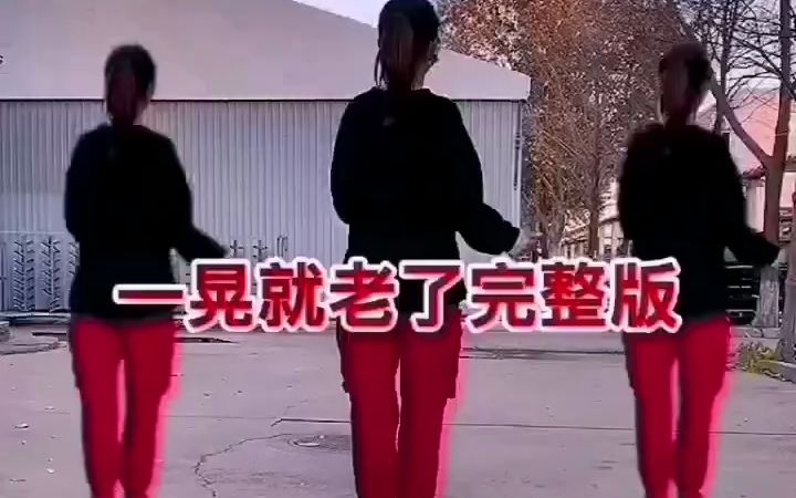 [图]一晃就老了（DJ版）短视频—— 隆鑫飞歌