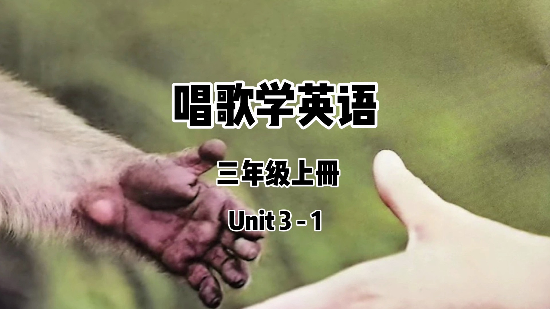 唱歌学英语(人教版三年级上册unit 3-1)