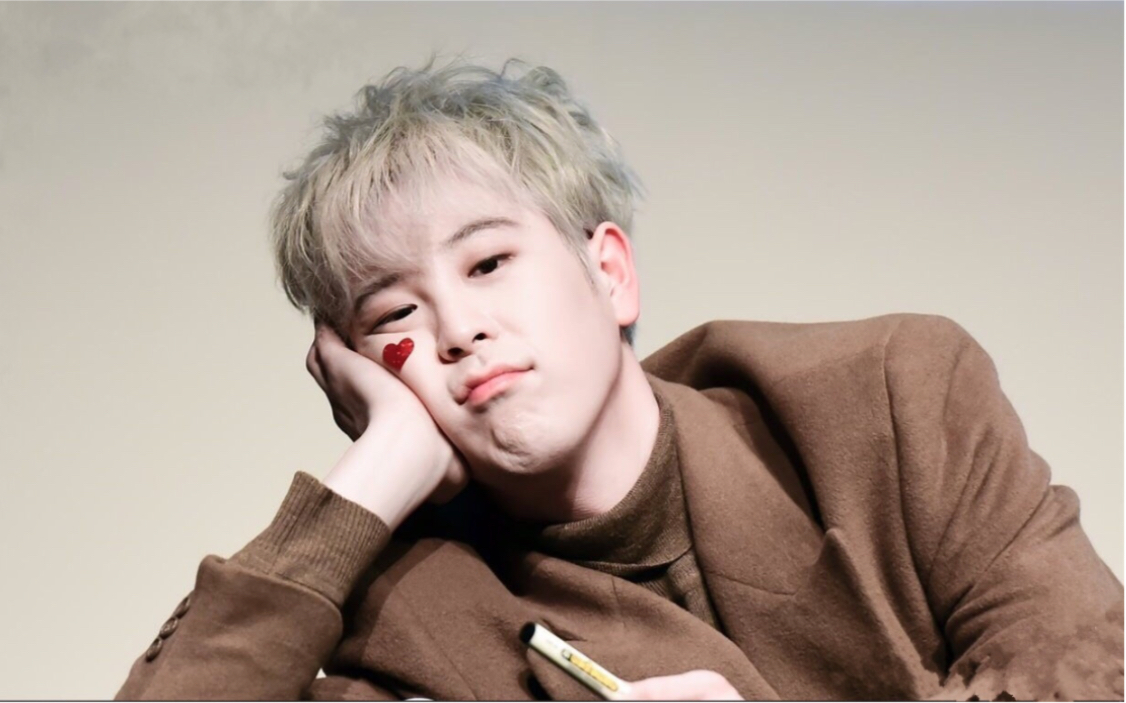 block b-toy【p.o直拍】又帅又可爱的表猪猪