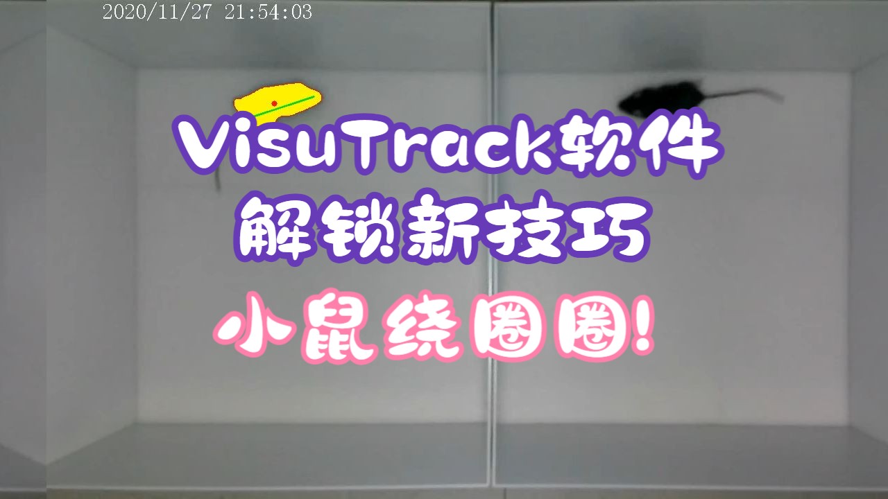 VisuTrack动物行为分析软件测试小鼠绕圈行为哔哩哔哩bilibili