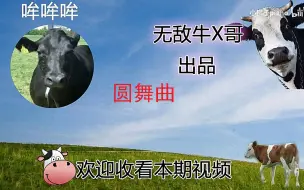 Download Video: 假如牛X哥开头走文艺路线。。