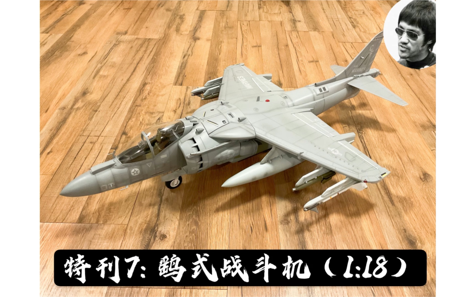 [图]特刊7: 电影《真实的谎言》1:18 AV-8鹞ll式战斗机-Merit 1:18 AV-8 Harrier ll from Movie True Lie