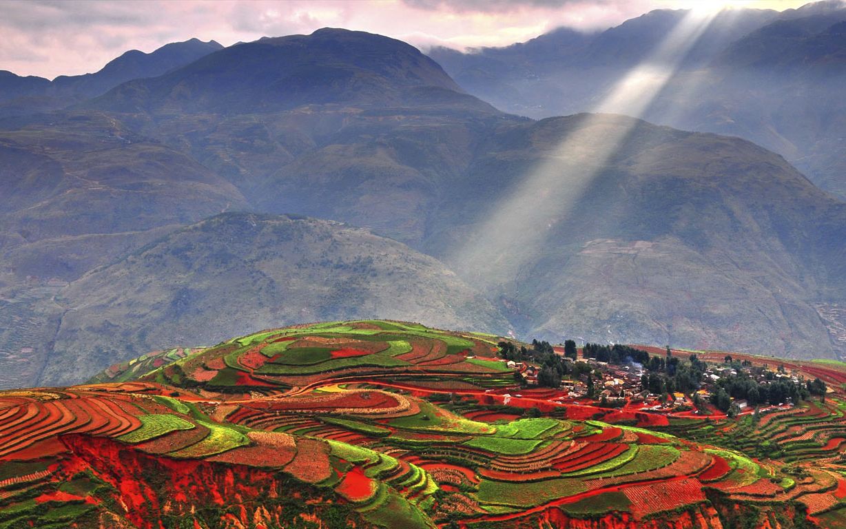 霞 | 云南落霞沟的多彩梯田(08 sino images/getty images)