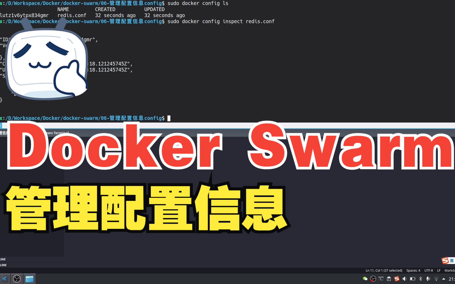 【Docker Swarm教程】使用config管理配置信息哔哩哔哩bilibili