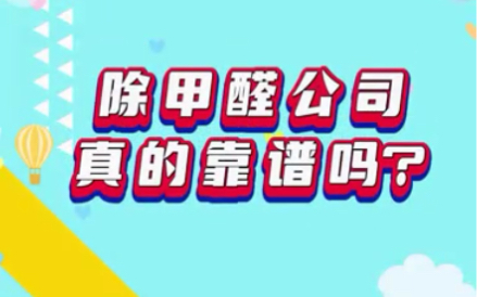 除甲醛公司真的有用吗?哔哩哔哩bilibili