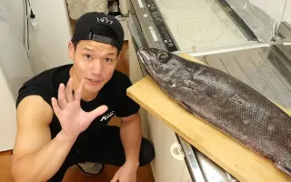 油鱼_ 搜索结果_哔哩哔哩_Bilibili