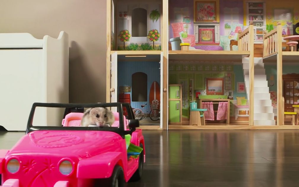 萌宠仓鼠和他的豪宅豪车人不如鼠系列震惊