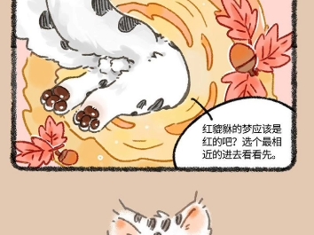 血脉觉醒哔哩哔哩bilibili