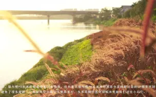 Download Video: 索尼 slog2 向右曝光