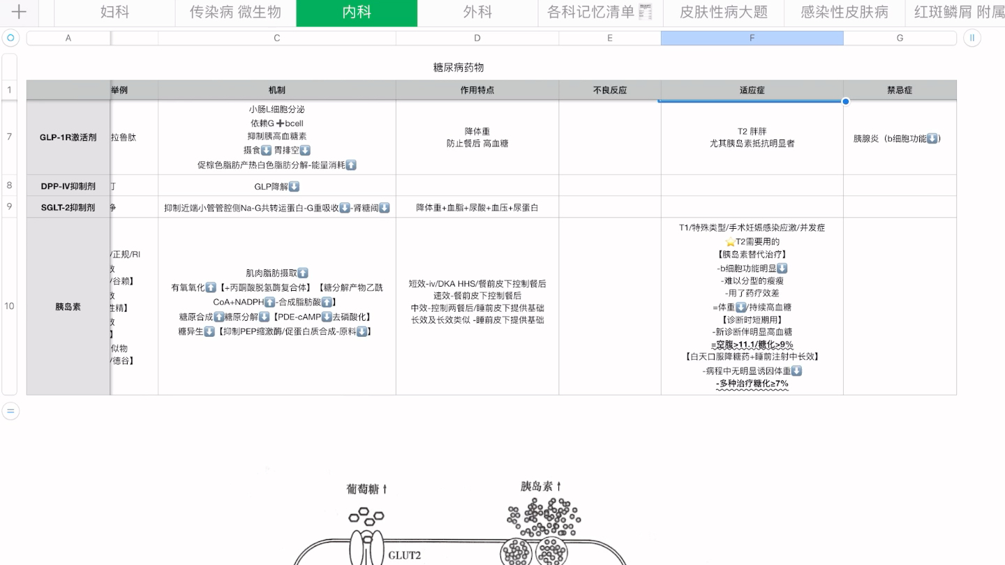 糖尿病药物分类及药物选择哔哩哔哩bilibili