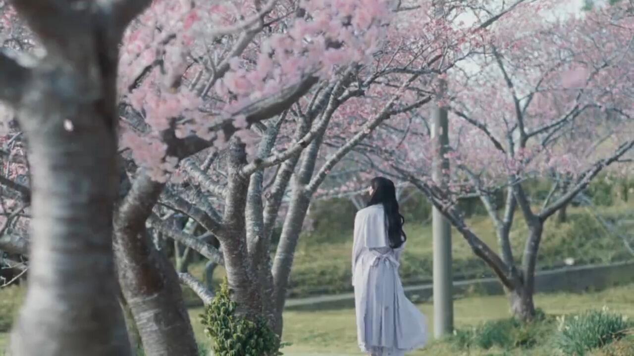 AKB48 名残り桜/惜别之樱中字MV_哔哩哔哩_bilibili