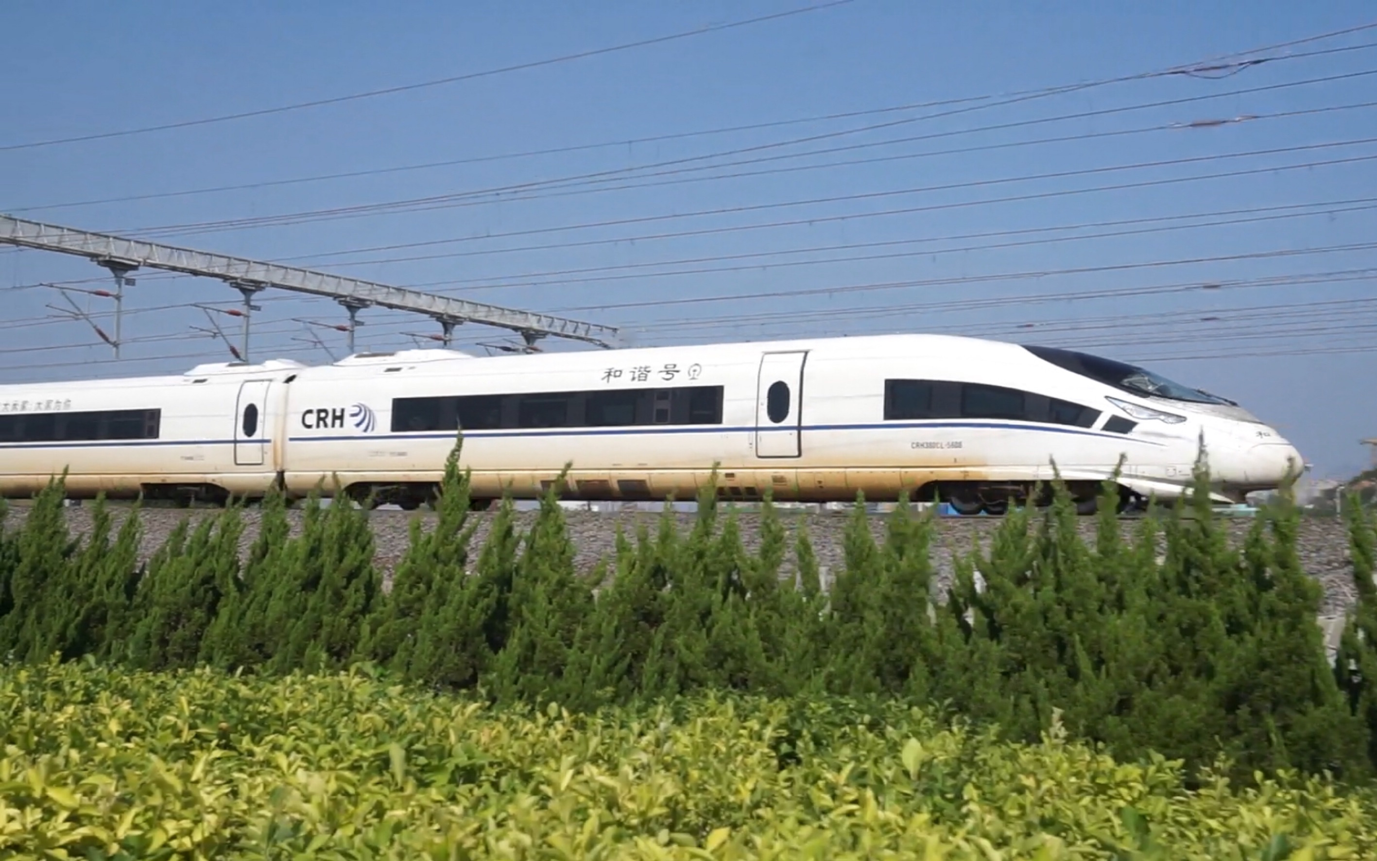 crh380cl进入青岛北站