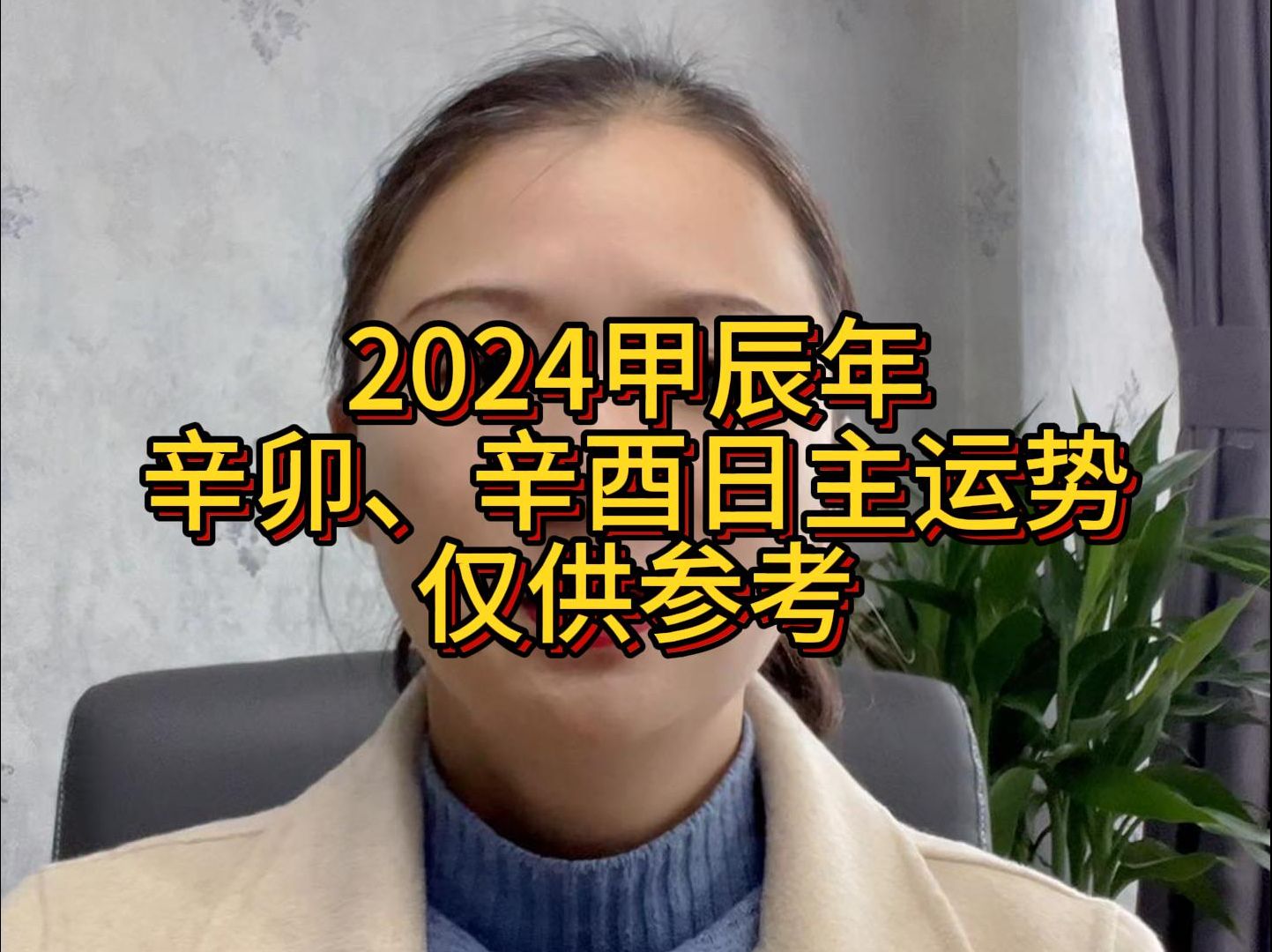 2024甲辰年运势(辛卯、辛酉日主)仅供参考哔哩哔哩bilibili