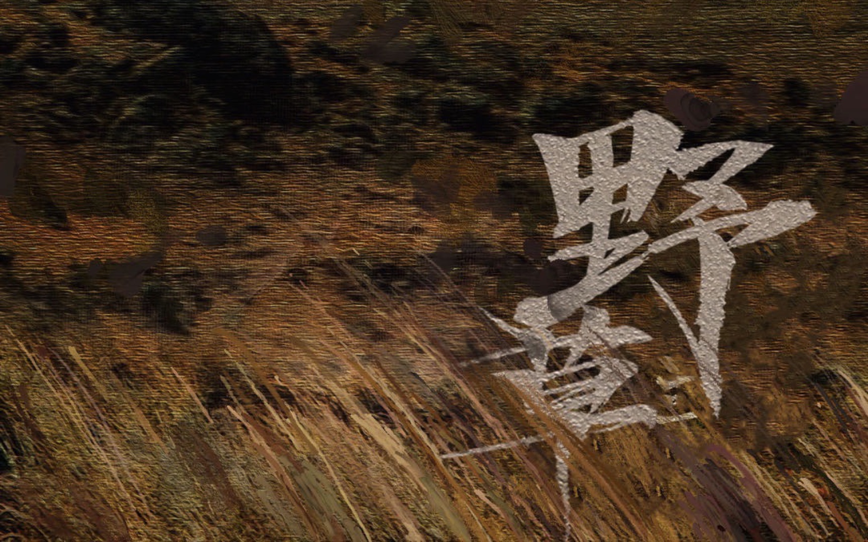 椿乐队《野草》电吉他全曲cover